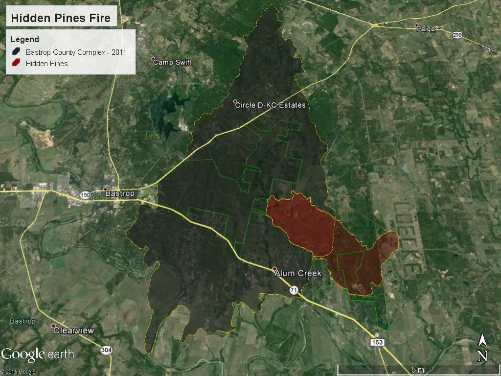 Tracking Bastrop Fire Recovery – Perennial Ecology